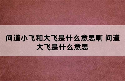 问道小飞和大飞是什么意思啊 问道大飞是什么意思